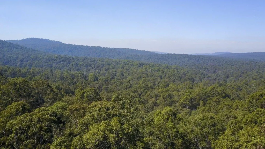 Upper Copmanhurst Improved Pasture & Rugged Bushland
