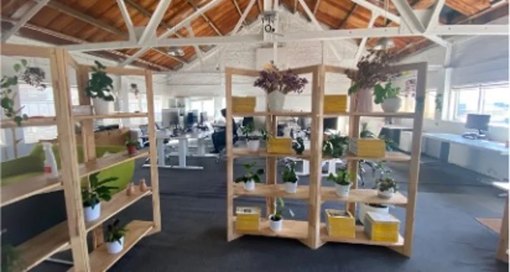 Auckland Central CBD Corner Office