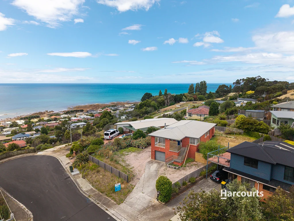 6 Mortimer Road, Penguin, TAS 7316