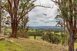 1712 Stroud Hill Road, Dungog