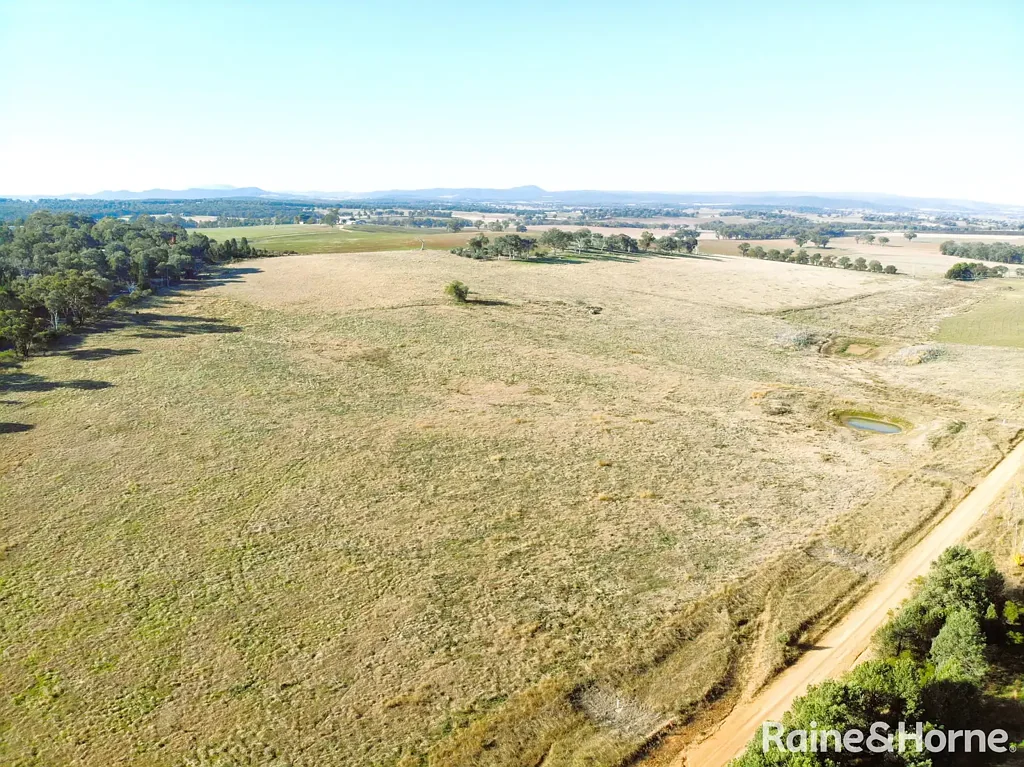 963 - 1044 Quondong Road, Grenfell, NSW 2810