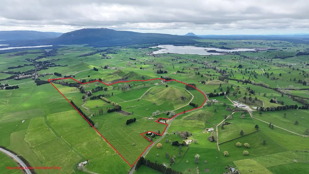 Rerewhakaaitu Proven dairy platform