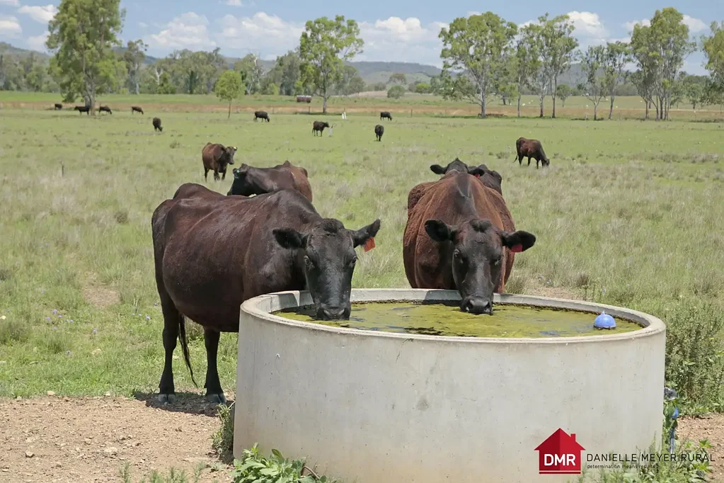 Mungungo  PERFECT STARTER BLOCK WITH HOUSE AND BORE