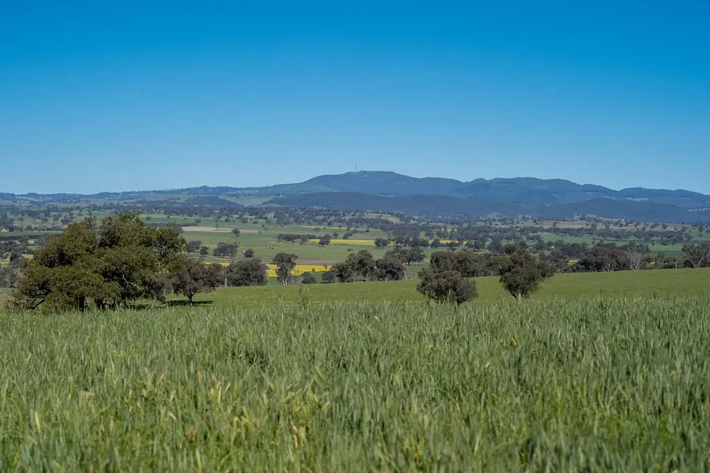 Manildra "Cuttaburra" - Prime Central West Location