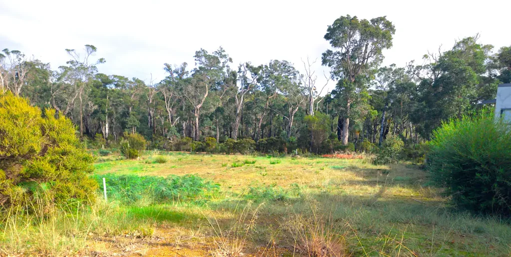 84 Karri Street, Walpole, WA 6398