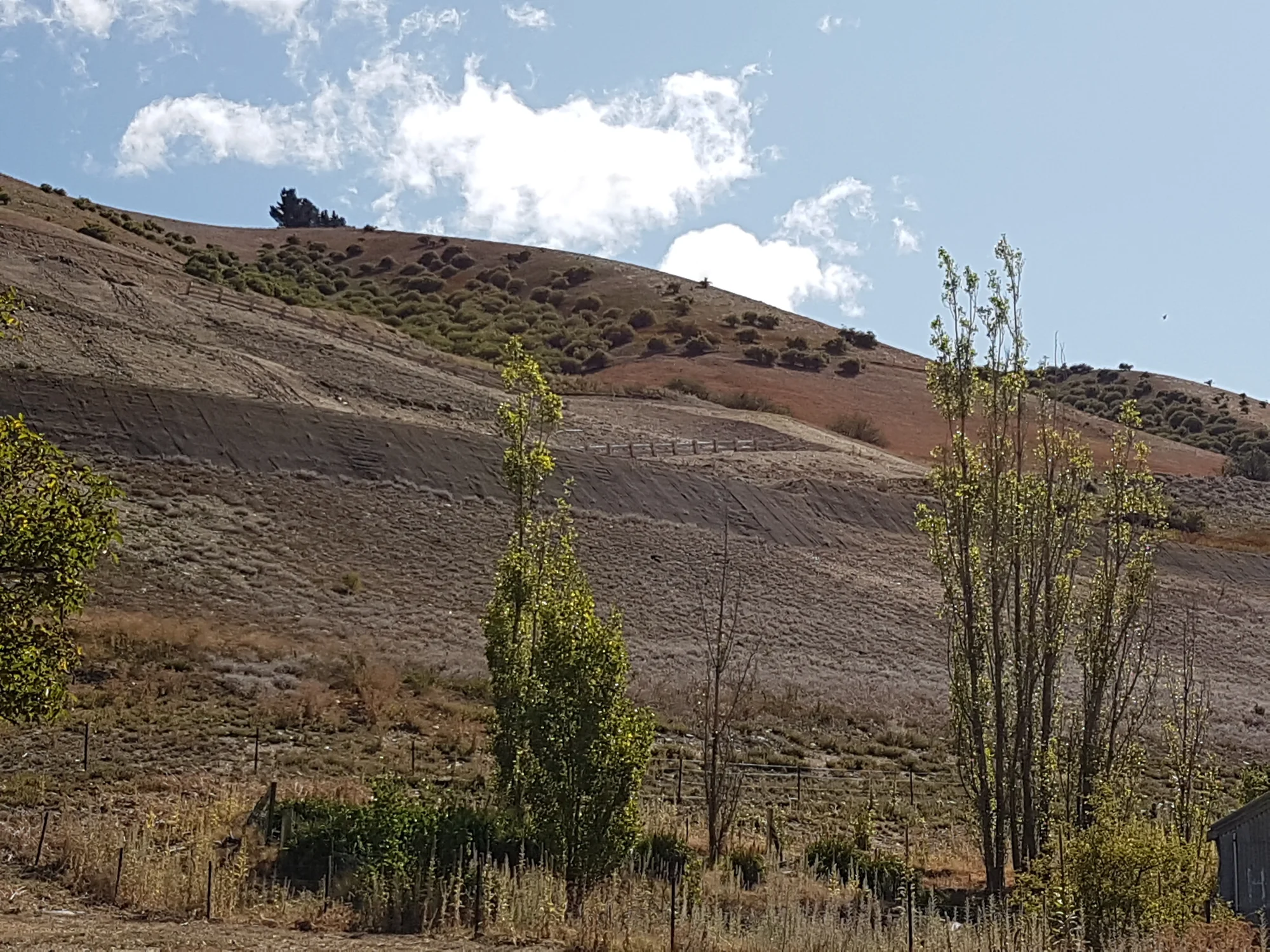 4 Judare Drive, Cromwell, Central Otago, Otago, 0 chambres, 1 salles de bain, Section