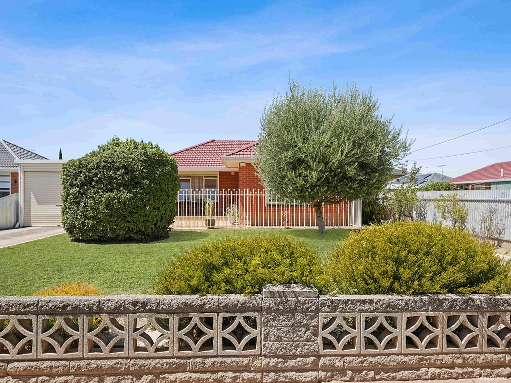 3 Charles Street, Ascot Park, SA 5043