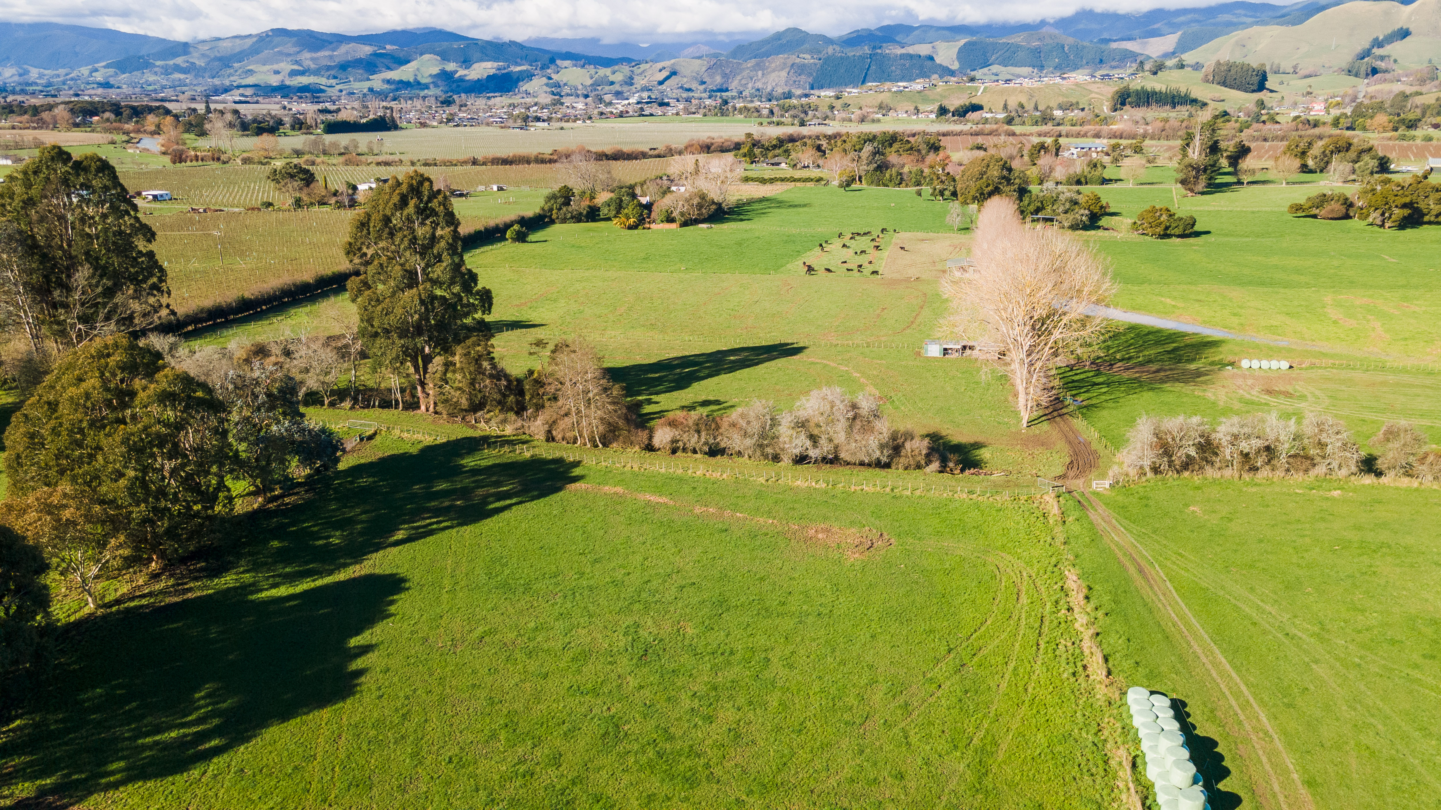 141 Teapot Valley Road, Brightwater, Tasman, 3 ਕਮਰੇ, 0 ਬਾਥਰੂਮ