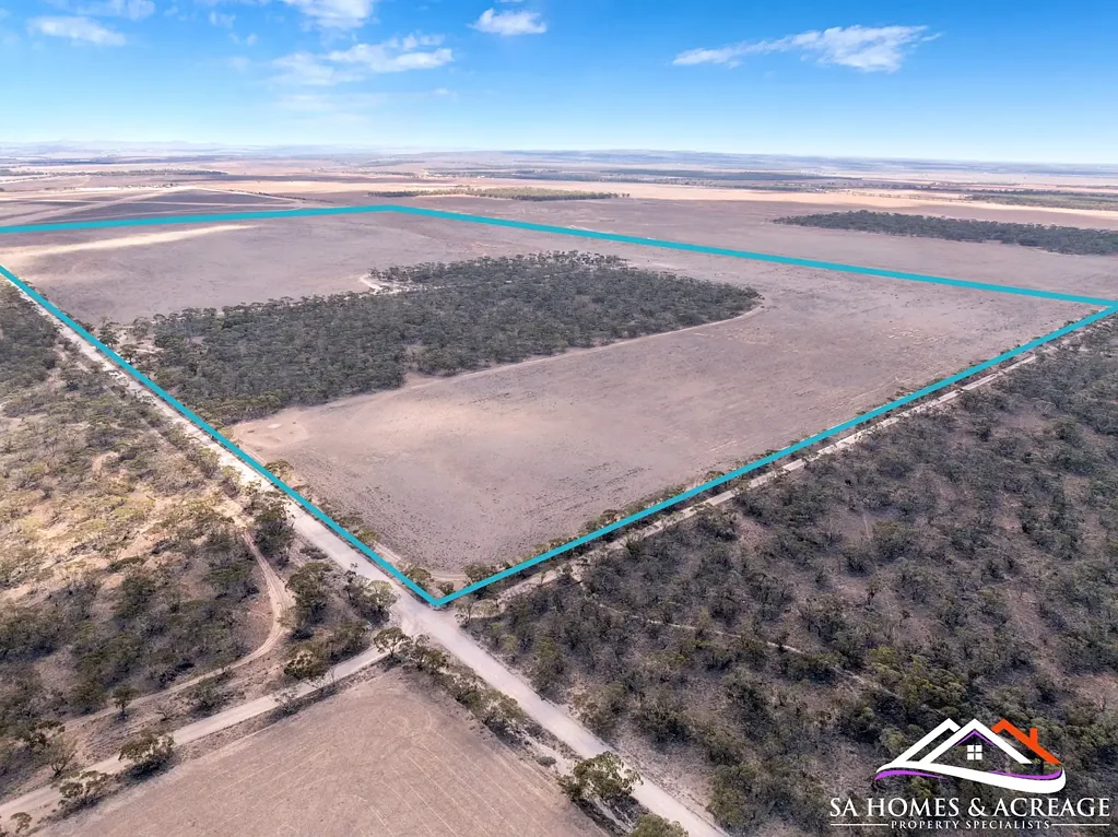 Lot 251 Liebigs Road, Steinfeld, SA 5356