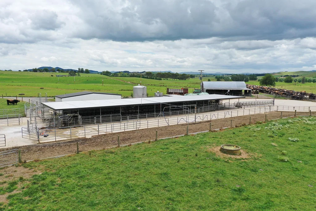 Morrinsville  Unmatched scale in the golden triangle.