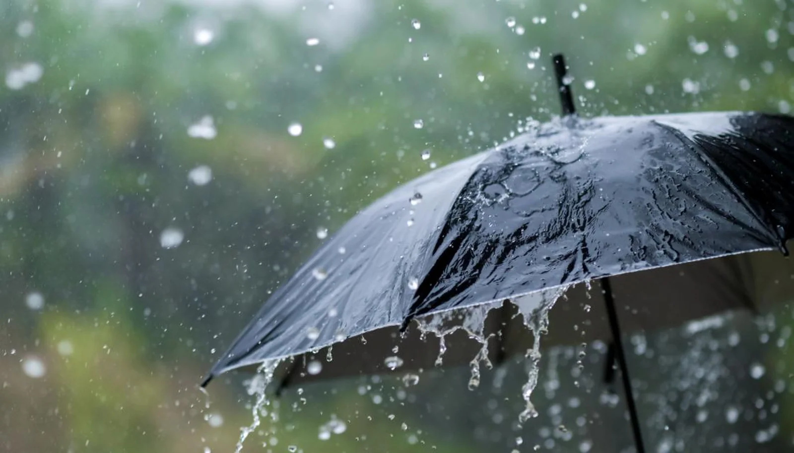 雷暴、山洪、强降雨预警齐发！奥克兰在内，这些地方要注意！