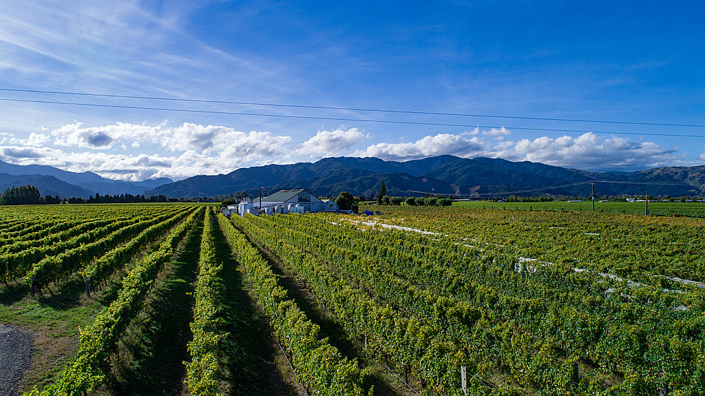 56 Vintage Lane, Rapaura, Marlborough, 3房, 0浴