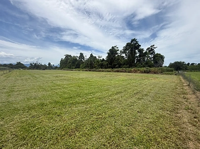 Address Withheld, Munro Plains, QLD 4854, 4 Bedrooms, 2 Bathrooms, Lifestyle Property