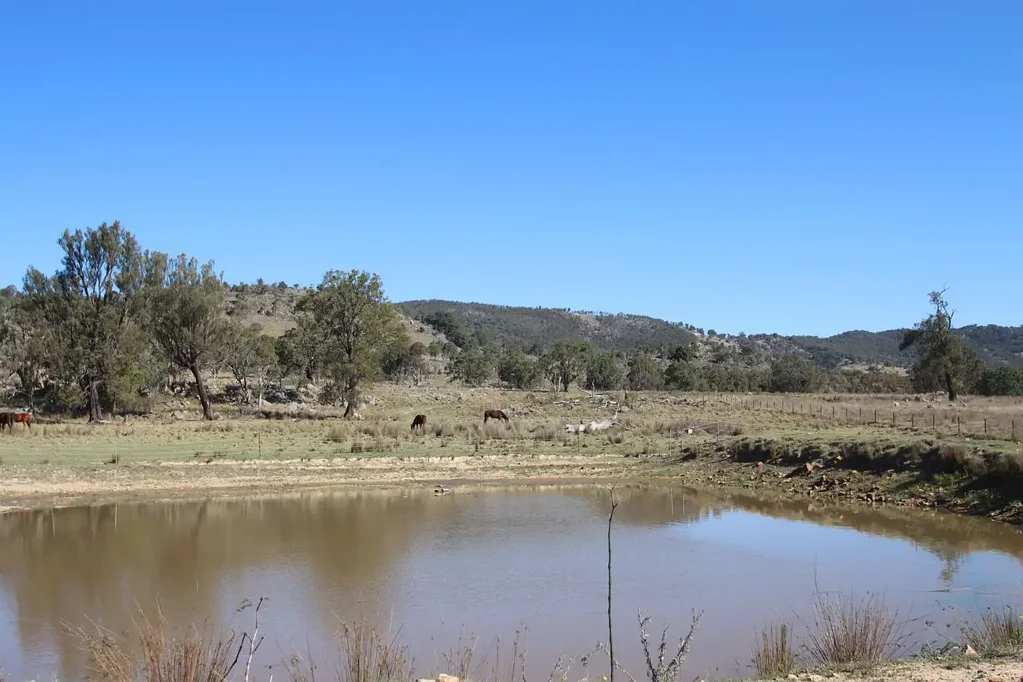 Tenterfield Grazing Block..