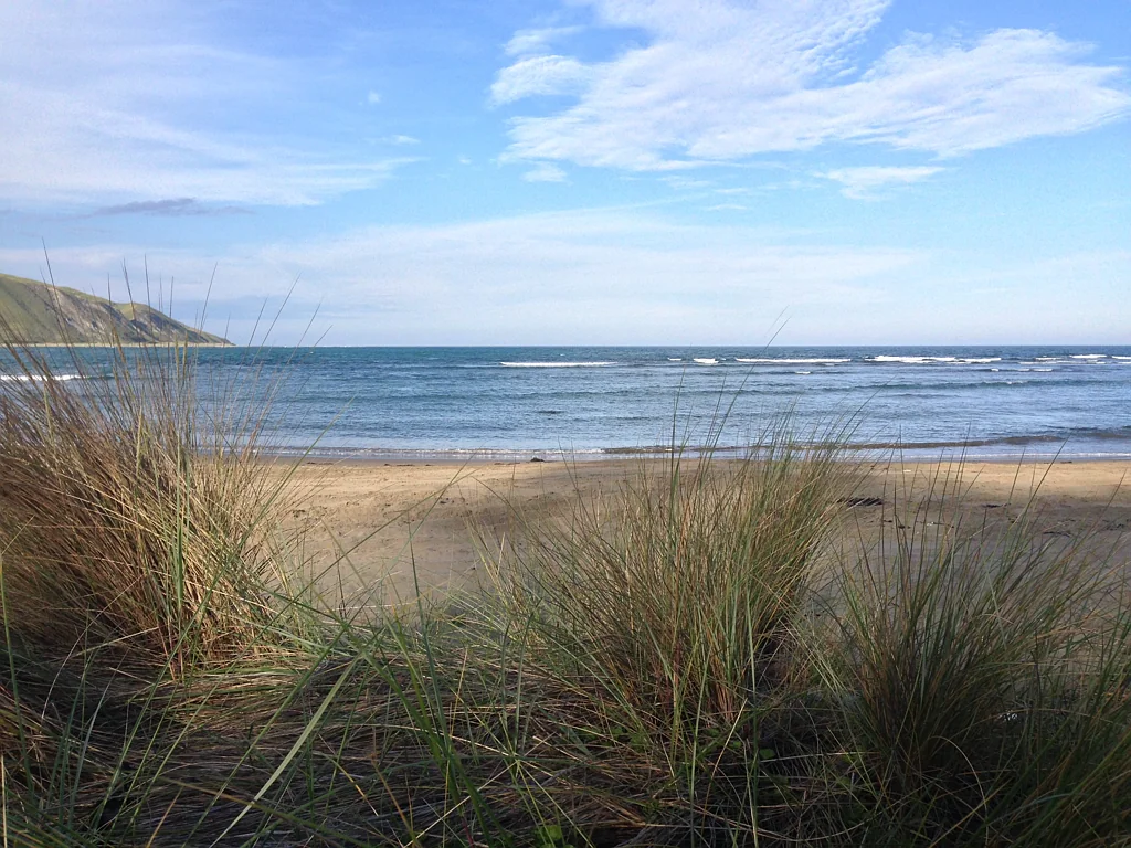 Aramoana Sea's The Moment