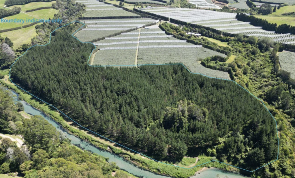 Te Puke  Lifestyle, Riverfront, Investment returns