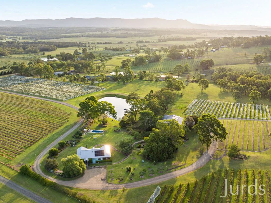 Lovedale  Midnight’s Promise – A Rare Offering in the Heart of Wine Country