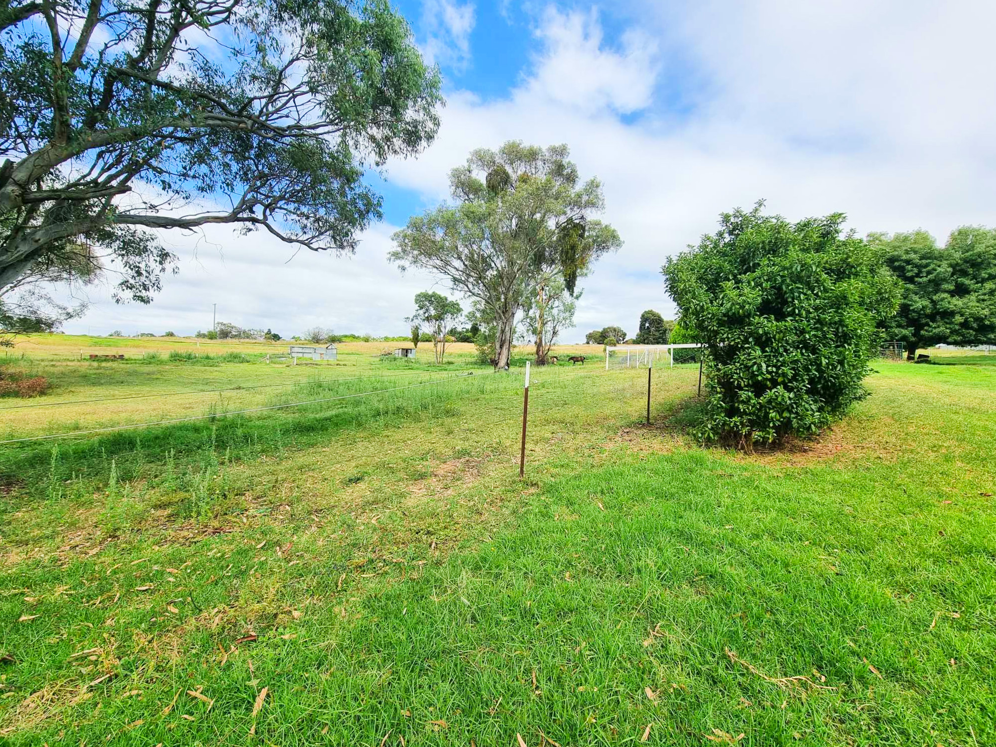 86 BACK CREEK RD, YOUNG NSW 2594, 0 રૂમ, 0 બાથરૂમ, Section