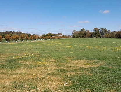 Lot 1 - 3313 Barooga-Tocumwal Road, Barooga, Murray, 0部屋, 0バスルーム, Section