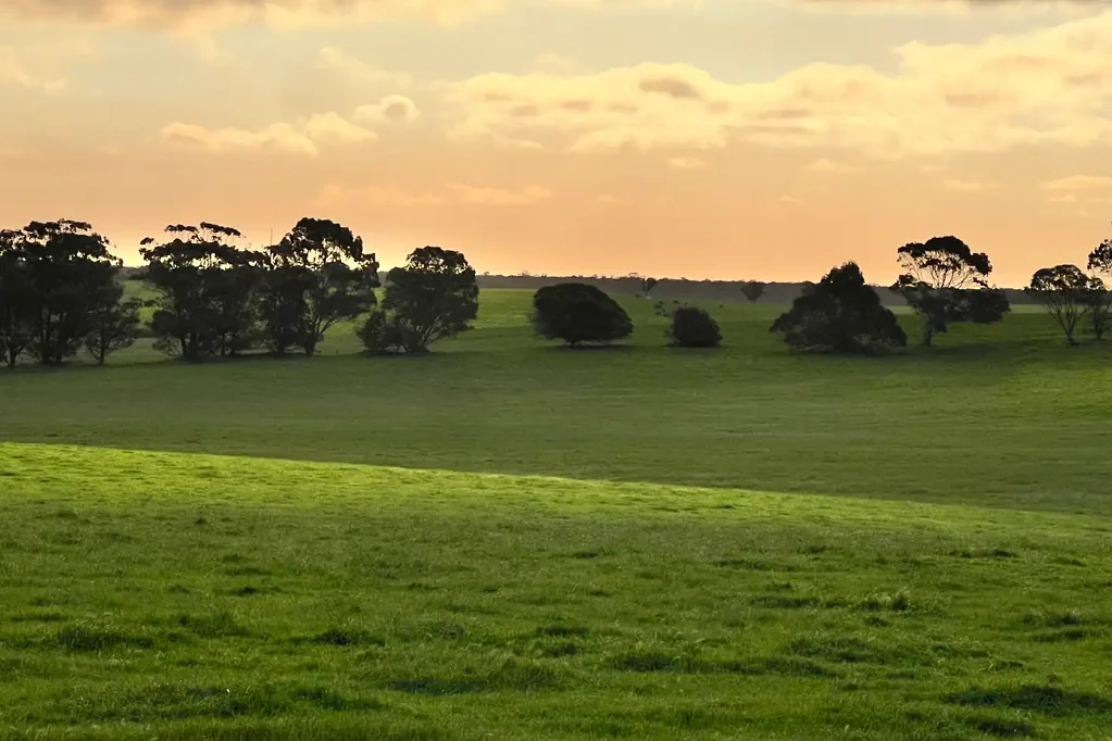 Albany Elevated 1-Hectare Lots. Country Living with Great Views