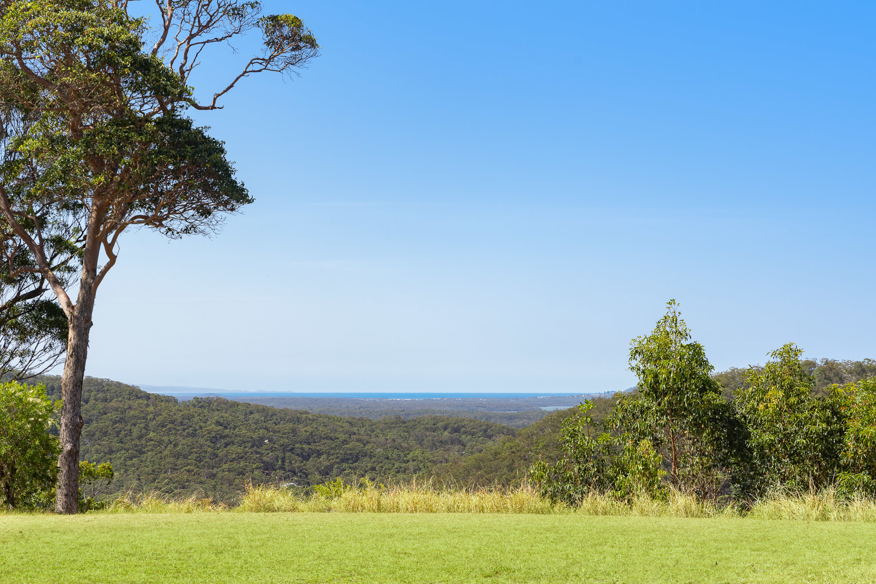 43 MUSGRAVE DR, YANDINA CREEK QLD 4561, 0 ਕਮਰੇ, 0 ਬਾਥਰੂਮ, Section