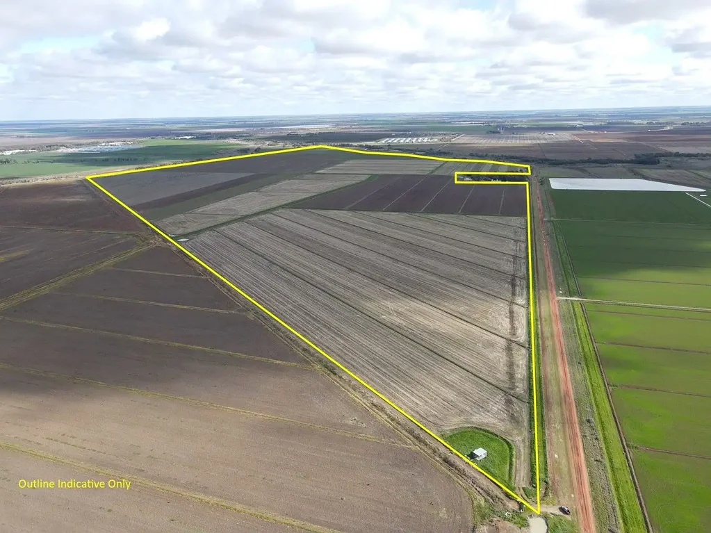 Widgelli  Irrigation Cropping Enterprise