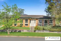 17 Lancia Drive, Ingleburn