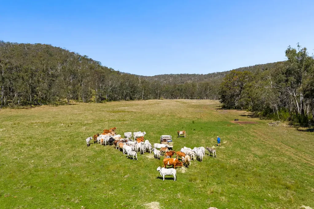 Upper Pilton  'YABRAGUNYAH' - PREMIER GRAZING COUNTRY WITH UNRIVALLED VIEWS