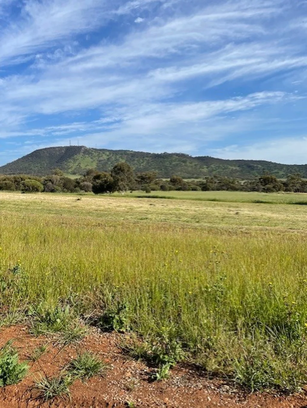 1 Foreman Road, York, WA 6302