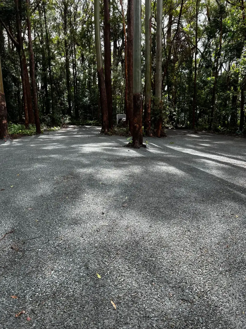 11 Gwongorella Parade, Springbrook, QLD 4213