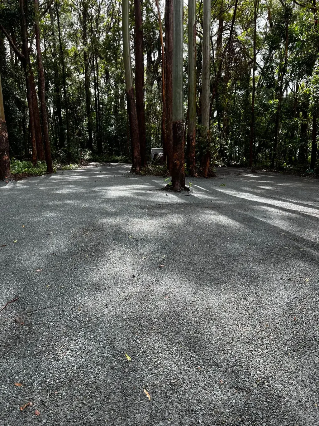 11 Gwongorella Parade, Springbrook, QLD 4213