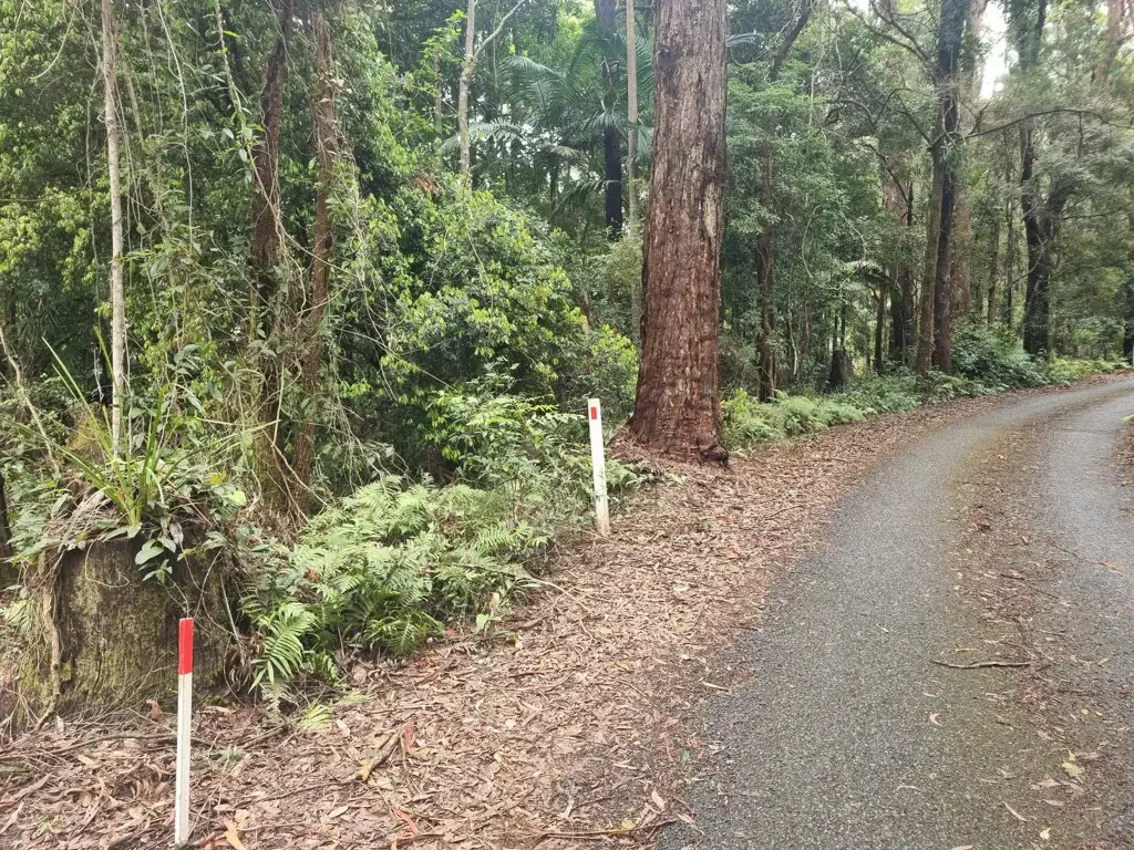 9 Gwongorella Parade, Springbrook, QLD 4213