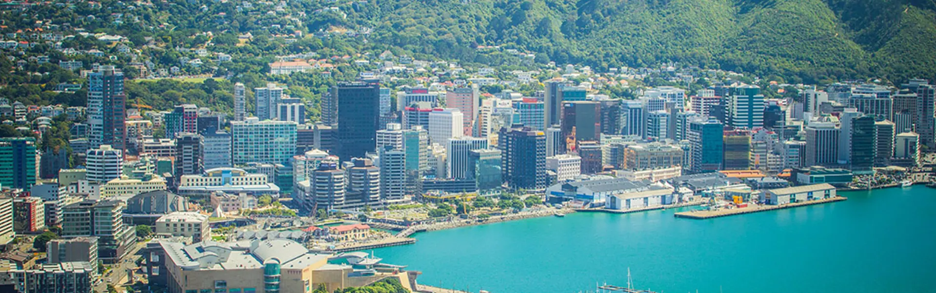 CBRE (Agency) Ltd (Licensed: REAA 2008) - Wellington