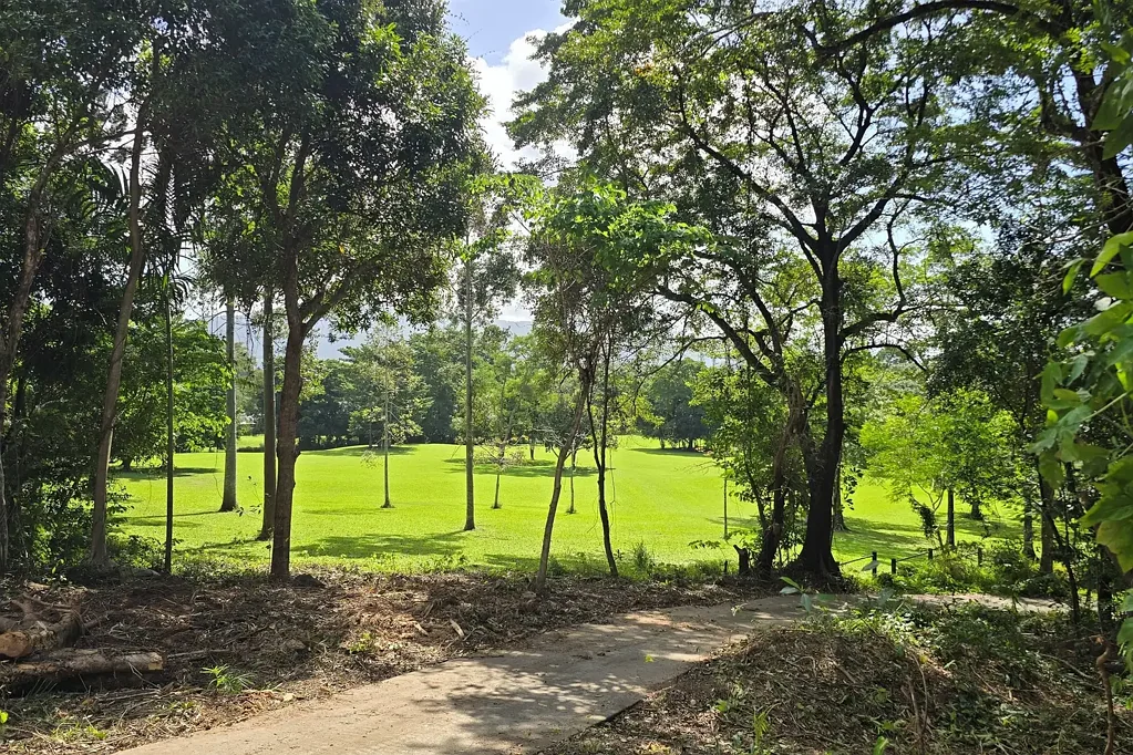 Stratford Rare Stratford Landholding | 8.56ha of Privacy & Potential