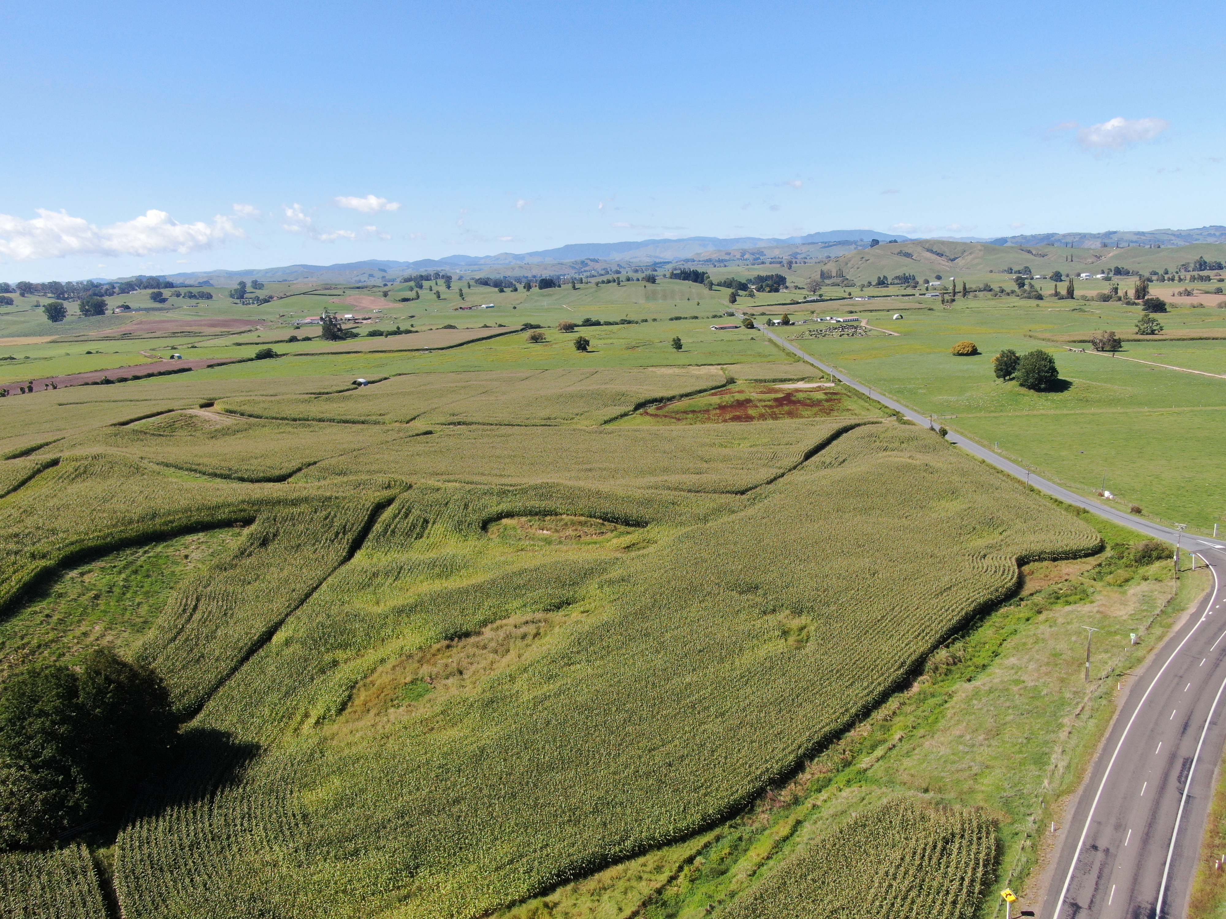 1375 State Highway 3 Otorohanga Road, Otorohanga, Otorohanga, 0 غرف, 0 حمامات, Specialist Livestock