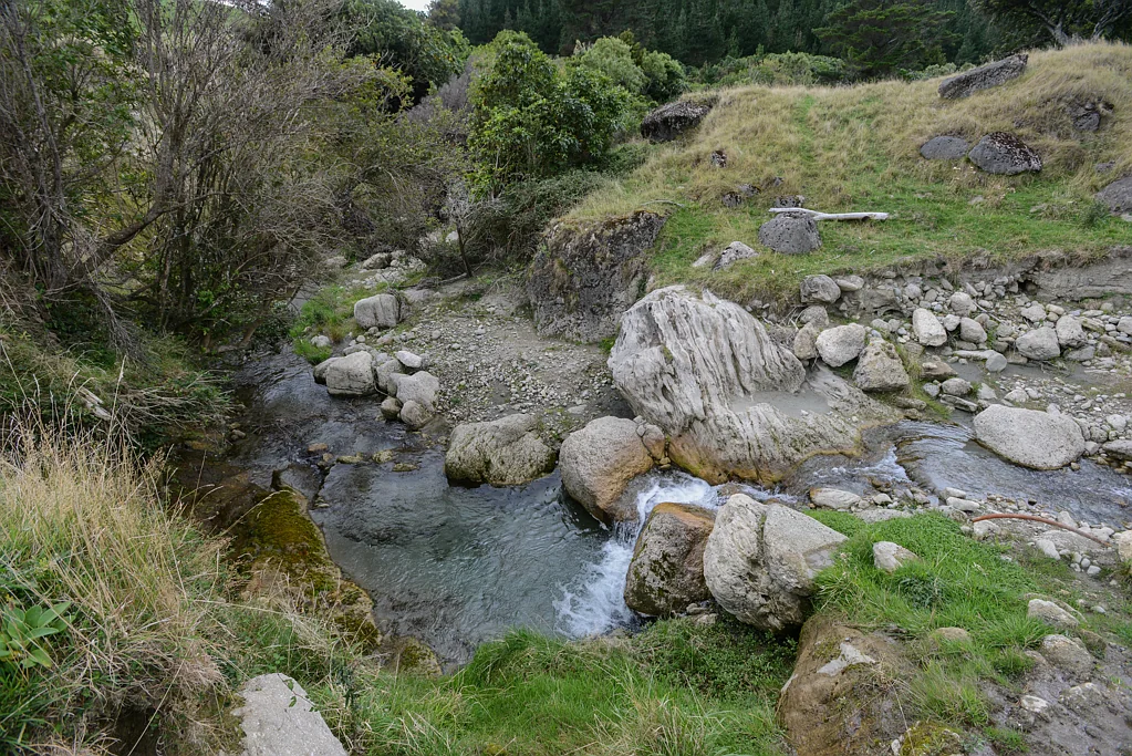 Hastings Country Nature Lover | Privacy Seeker