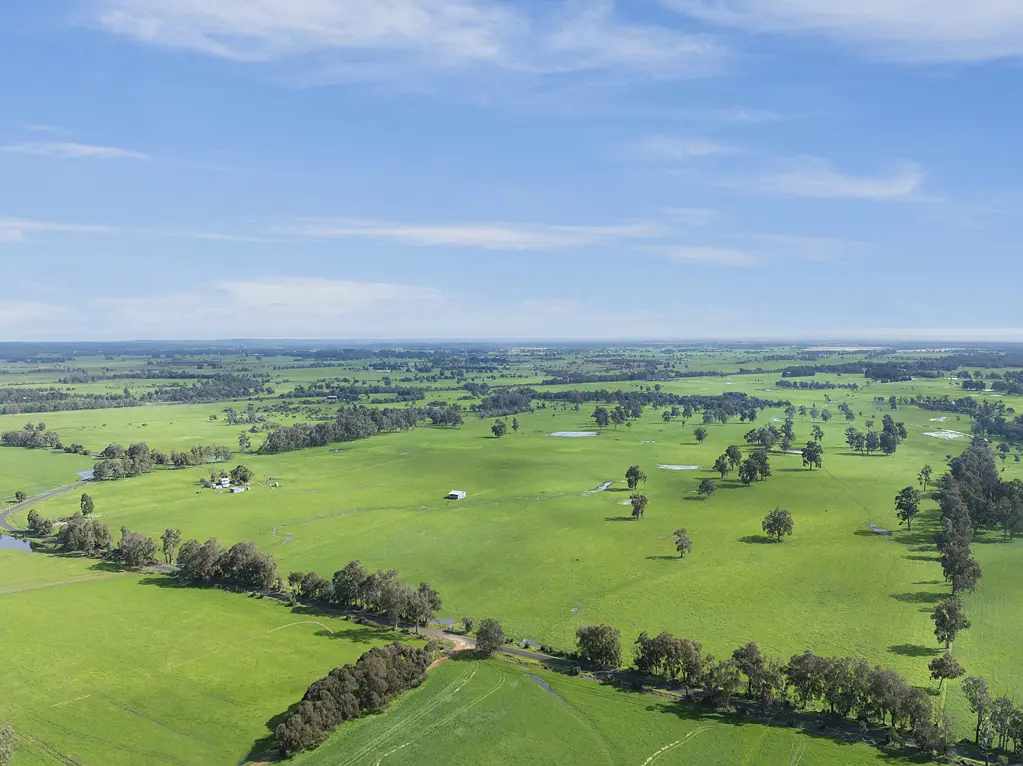 Tutunup Cattle country