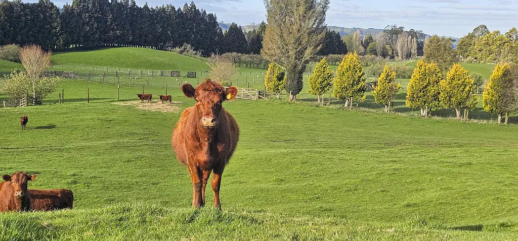 Hamurana  Bare Land Lifestyle – 15.57ha Across Two Titles
