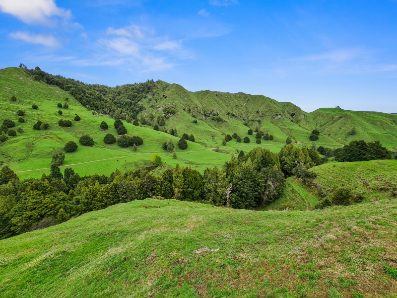 1094 Oio Road, Owhango, Ruapehu, 0部屋, 0バスルーム