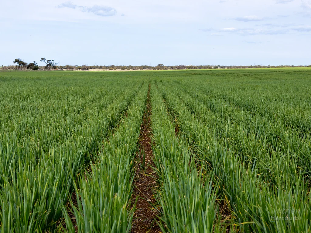Sect. 108 Weavers Road, Stansbury, SA 5582