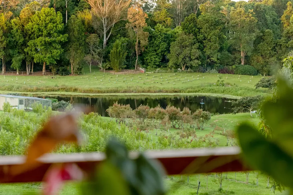 Witta 3Kwarto An elevated lifestyle with space, privacy and an outlook that feels like twenty acres