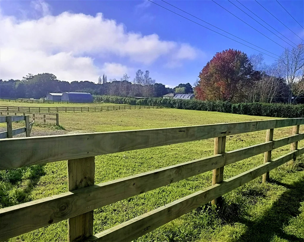 Morrinsville Kuranui - The place to Be!
