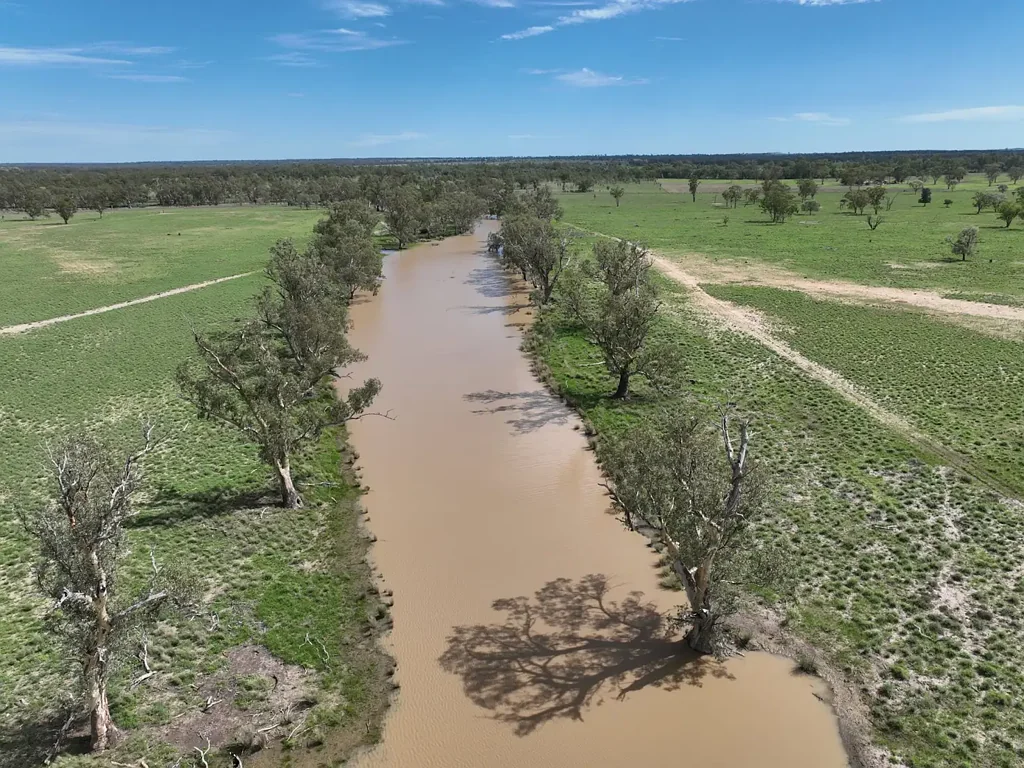 586 Bindango Road, Roma, QLD 4455