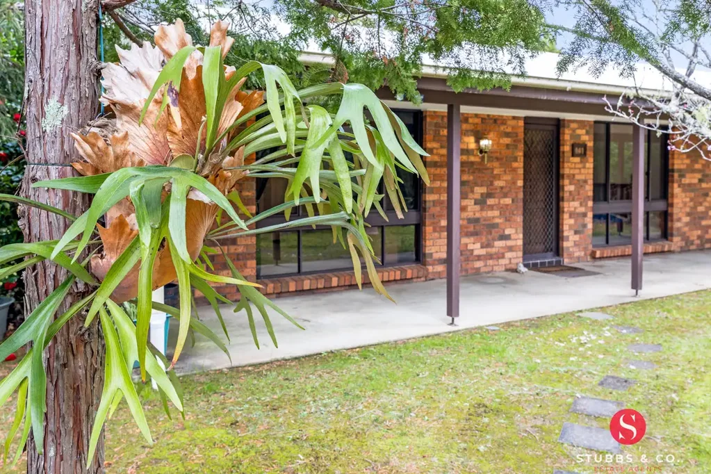 Wentworth Falls 3બેડરૂમ A Private Bush Setting with Plenty of Potential