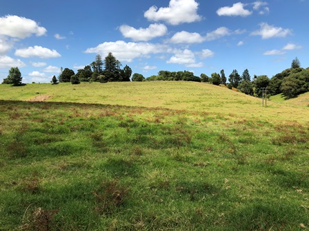 Te Ahu Ahu Road, Ohaeawai, Far North, 0房, 0浴