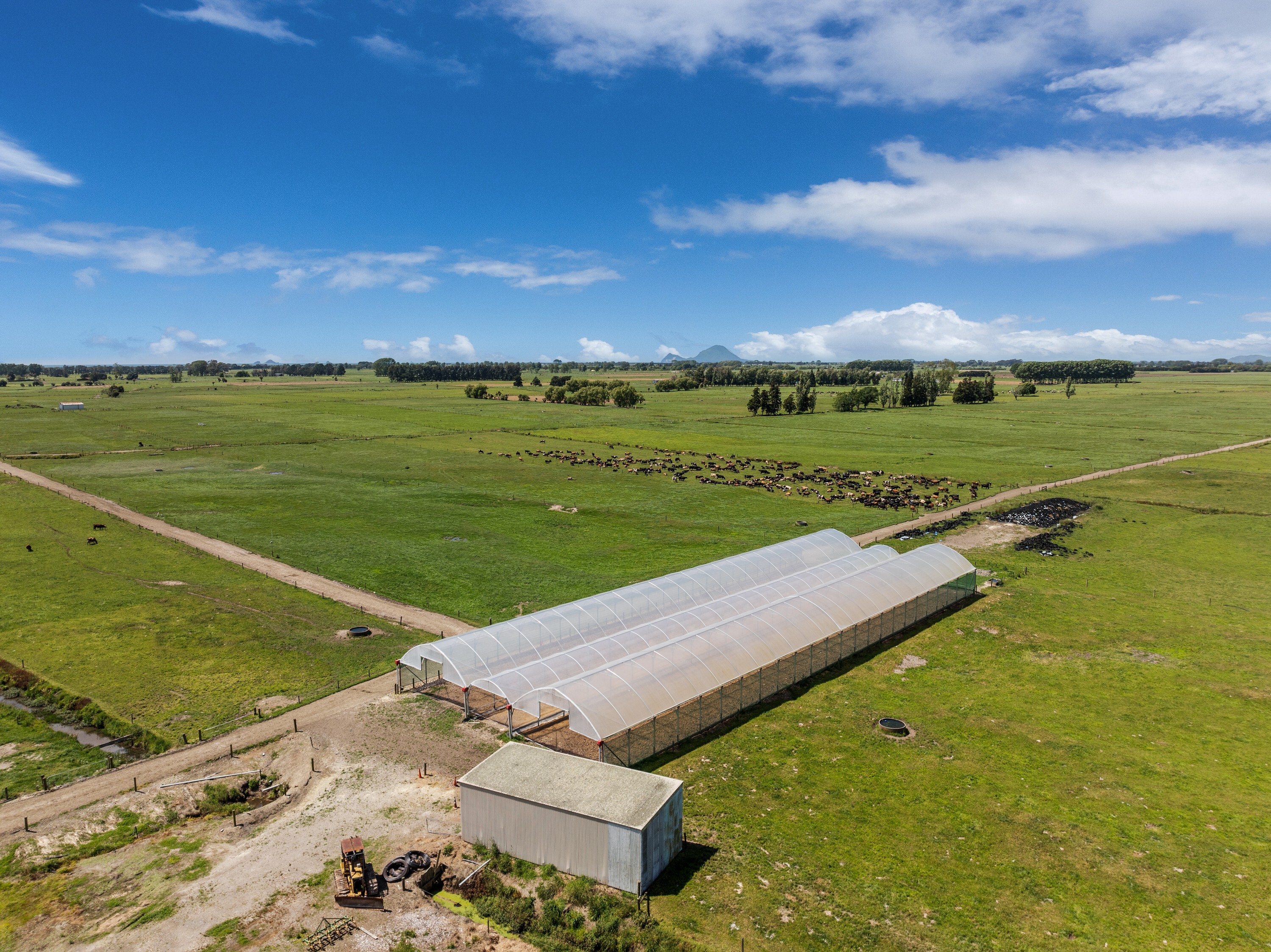 697 Matata Road, Matata, Whakatane, 0部屋, 0バスルーム, Dairy