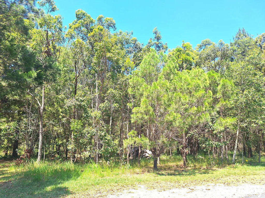 54 Wirralee St, Macleay Island, QLD 4184