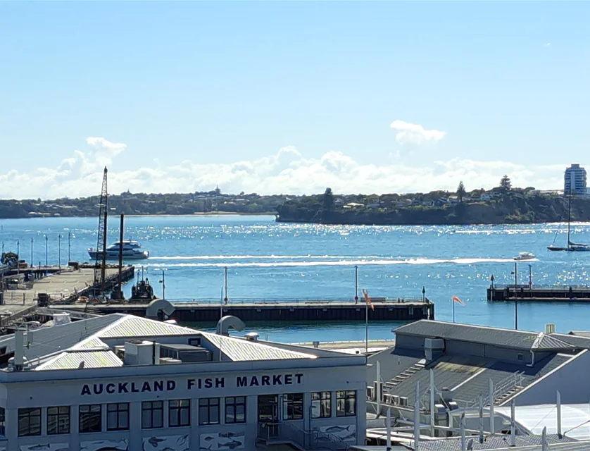 605/70 Daldy Street, Auckland Central, Auckland City, 1 ਕਮਰੇ, 1 ਬਾਥਰੂਮ, Apartment