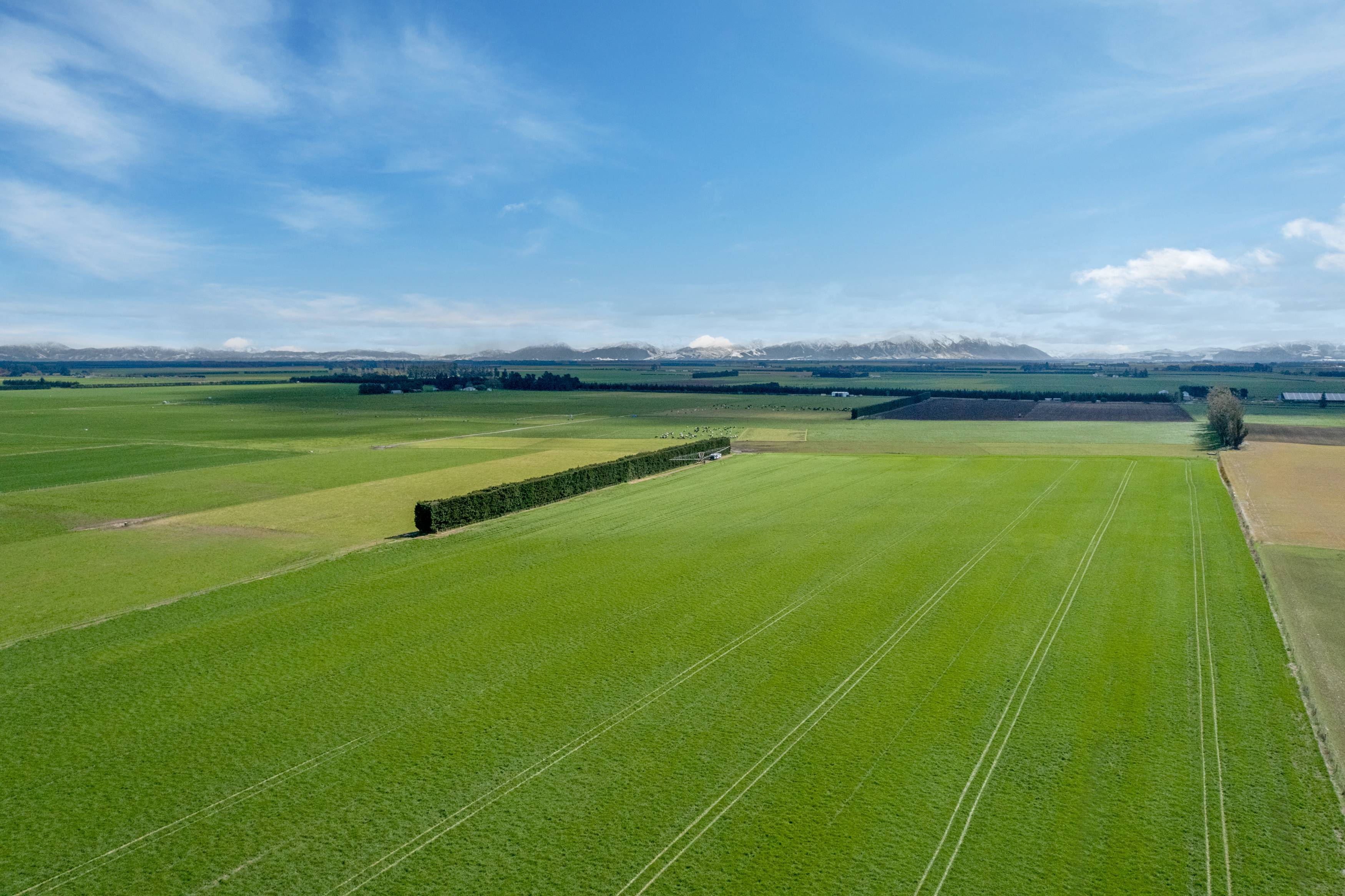2034 Rakaia Highway, Rakaia, Ashburton, 0部屋, 0バスルーム, Grazing