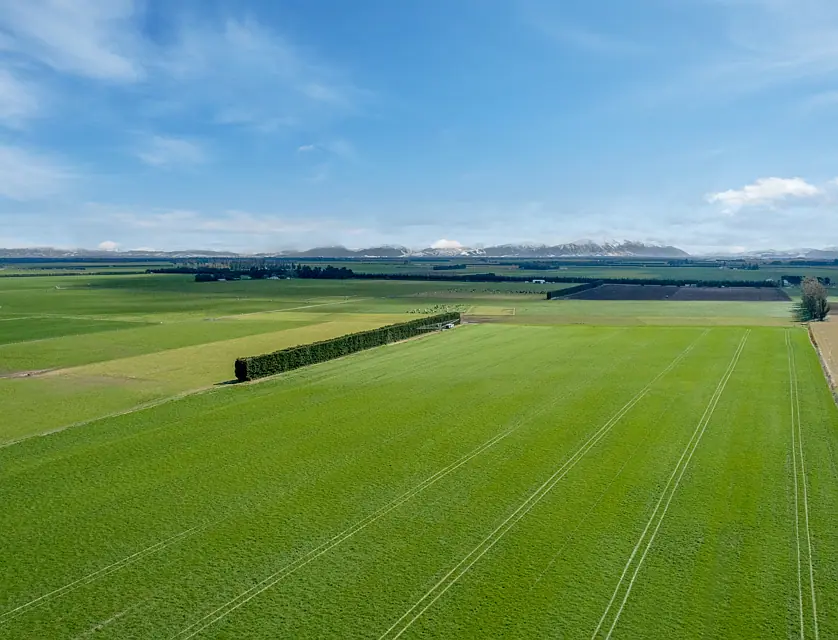 2034 Rakaia Highway, Rakaia, Ashburton, 0部屋, 0バスルーム, Grazing